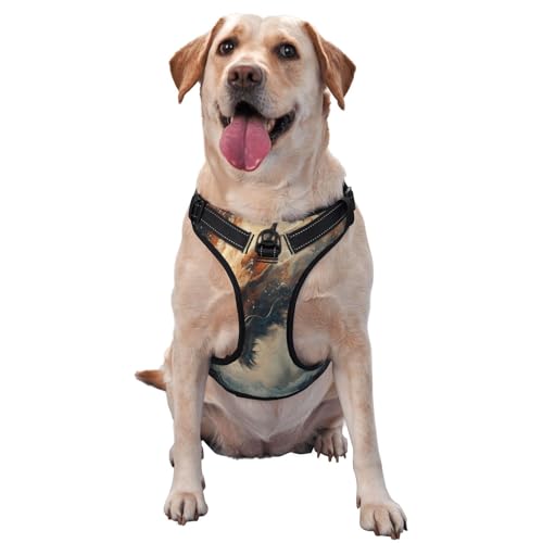 Dragon's Anger Hundegeschirr für kleine, mittelgroße und große Hunde, verstellbare atmungsaktive Hundeweste mit Schnellverschluss-Schnallen von HERTqwop