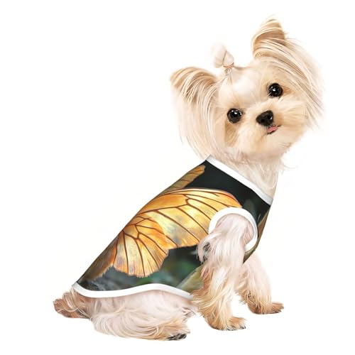 Ein süßes Kaninchen mit Flügeln, Hunde-Shirt für kleine Hunde, weiche und atmungsaktive Katzen- und Hundekleidung, geeignet für kleine Haustiere Ein süßes Kaninchen mit Flügeln, Hunde-Shirt für kleine Hunde, weiche und atmungsaktive Katzen- und Hundekleidung, geeignet für kleine Haustiere von HERTqwop