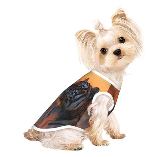 Hunde-Shirt für kleine Hunde, Motiv: Tiger unter dem Sonnenuntergang, weiche und atmungsaktive Katzen- und Hundekleidung, geeignet für kleine Haustiere von HERTqwop