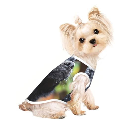 Hunde-Shirt für kleine Hunde, weiche und atmungsaktive Katzen- und Hundekleidung, geeignet für kleine Haustiere Hunde-Shirt für kleine Hunde, weiche und atmungsaktive Katzen- und Hundekleidung, geeignet für kleine Haustiere von HERTqwop
