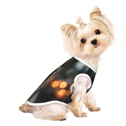 Hunde-Shirt mit Aufschrift "Die Katze am Fenster" für kleine Hunde, weiche und atmungsaktive Katzen- und Hundekleidung, geeignet für kleine Haustiere Hunde-Shirt mit Aufschrift "Die Katze am Fenster" für kleine Hunde, weiche und atmungsaktive Katzen- und Hundekleidung, geeignet für kleine Haustiere von HERTqwop