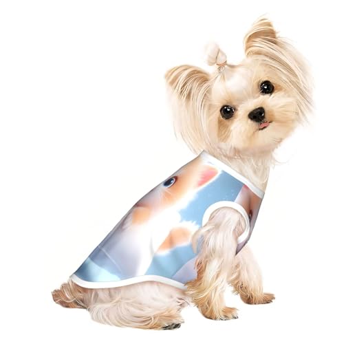 Hunde-Shirt mit Katze auf dem Kissen, für kleine Haustiere, weiche und atmungsaktive Katzen- und Hundekleidung, geeignet für kleine Haustiere Hunde-Shirt mit Katze auf dem Kissen, für kleine Haustiere, weiche und atmungsaktive Katzen- und Hundekleidung, geeignet für kleine Haustiere von HERTqwop