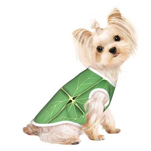 Hundeshirt für kleine Haustiere, mit Blattstruktur, weiche und atmungsaktive Katzen- und Hundekleidung, geeignet für kleine Haustiere Hundeshirt für kleine Haustiere, mit Blattstruktur, weiche und atmungsaktive Katzen- und Hundekleidung, geeignet für kleine Haustiere von HERTqwop