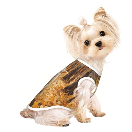 Hundeshirt mit Schafen in gelben Blättern für kleine Haustiere, weiche und atmungsaktive Katzen- und Hundekleidung, geeignet für kleine Haustiere Hundeshirt mit Schafen in gelben Blättern für kleine Haustiere, weiche und atmungsaktive Katzen- und Hundekleidung, geeignet für kleine Haustiere von HERTqwop