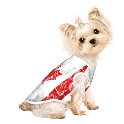 Hundeshirt mit kanadischer Flagge für kleine Hunde, weiche und atmungsaktive Katzen- und Hundekleidung, geeignet für kleine Haustiere Hundeshirt mit kanadischer Flagge für kleine Hunde, weiche und atmungsaktive Katzen- und Hundekleidung, geeignet für kleine Haustiere von HERTqwop