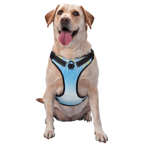 Ice and Snow World Hundegeschirr für kleine, mittelgroße und große Hunde, verstellbar, atmungsaktiv, mit Schnellverschluss-Schnallen von HERTqwop