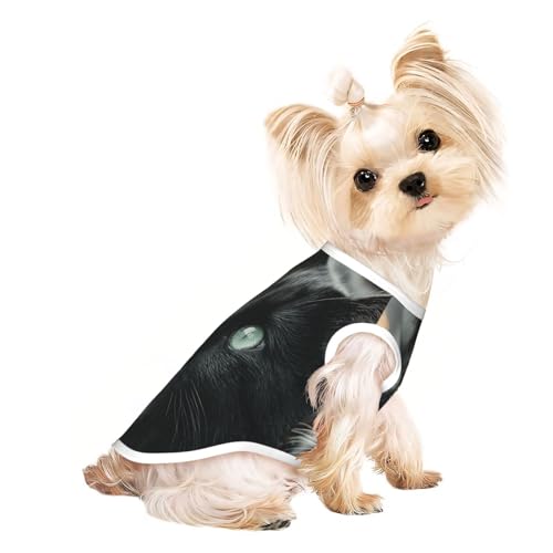 Lonely Katzen- und Hunde-Shirt für kleine Haustiere, weiche und atmungsaktive Katzen- und Hundekleidung, geeignet für kleine Haustiere, Schwarz Lonely Katzen- und Hunde-Shirt für kleine Haustiere, weiche und atmungsaktive Katzen- und Hundekleidung, geeignet für kleine Haustiere, Schwarz von HERTqwop