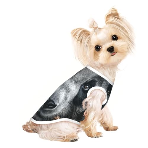 Lonely Panda Hunde-Shirt für kleine Haustiere, T-Shirt für Mädchen, weiche und atmungsaktive Katzen- und Hundekleidung, geeignet für kleine Haustiere Lonely Panda Hunde-Shirt für kleine Haustiere, T-Shirt für Mädchen, weiche und atmungsaktive Katzen- und Hundekleidung, geeignet für kleine Haustiere von HERTqwop