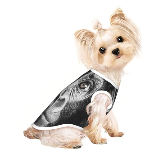 Melancholisches Gorilla-Hunde-Shirt für kleine Hunde, Haustier-T-Shirt für Mädchen, weiche und atmungsaktive Katzen- und Hundekleidung, geeignet für kleine Haustiere Melancholisches Gorilla-Hunde-Shirt für kleine Hunde, Haustier-T-Shirt für Mädchen, weiche und atmungsaktive Katzen- und Hundekleidung, geeignet für kleine Haustiere von HERTqwop
