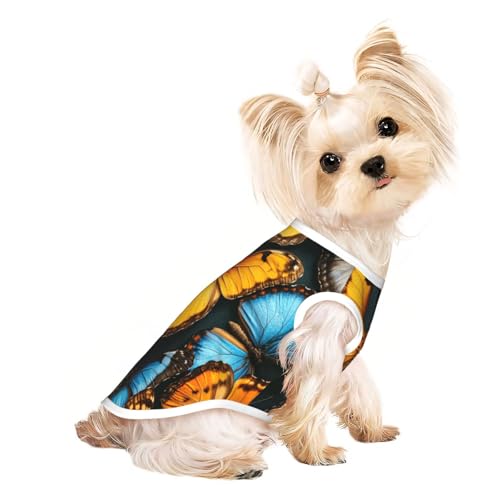 Schönes Schmetterlings-Hunde-Shirt für kleine Hunde, weiche und atmungsaktive Katzen- und Hundekleidung, geeignet für kleine Haustiere Schönes Schmetterlings-Hunde-Shirt für kleine Hunde, weiche und atmungsaktive Katzen- und Hundekleidung, geeignet für kleine Haustiere von HERTqwop