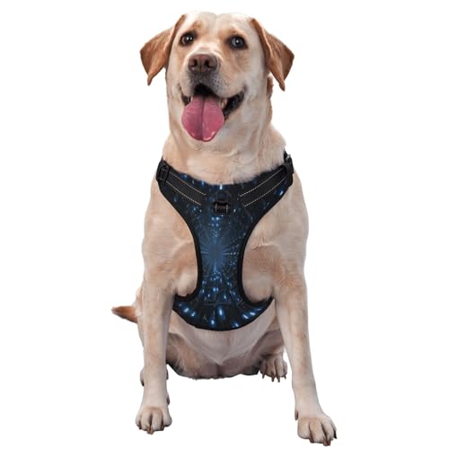 Time Tunnel Hundegeschirr für kleine, mittelgroße und große Hunde, verstellbar, atmungsaktiv, mit Schnellverschluss-Schnallen von HERTqwop