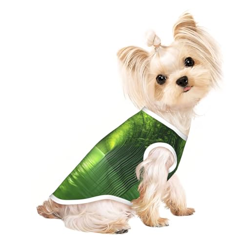 Zhulin Hunde-Tunnelshirt für kleine Hunde, Haustier-T-Shirt für Mädchen, weiche und atmungsaktive Katzen- und Hundekleidung, geeignet für kleine Haustiere Zhulin Hunde-Tunnelshirt für kleine Hunde, Haustier-T-Shirt für Mädchen, weiche und atmungsaktive Katzen- und Hundekleidung, geeignet für kleine Haustiere von HERTqwop