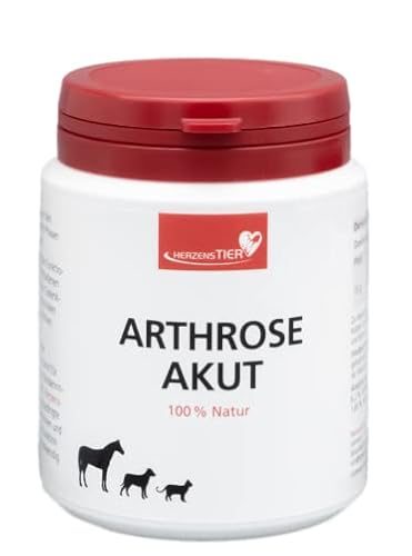 HERZENSTIER Arthrose akut 25 g von HERZENSTIER