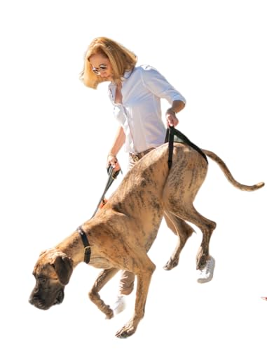 HERZENSTIER GEH- und Tragehilfe Gr. XL für Hunde zur Unterstützung bei Erkrankungen, im Alter als Treppensteighilfe & zur Rehabilitation von HERZENSTIER