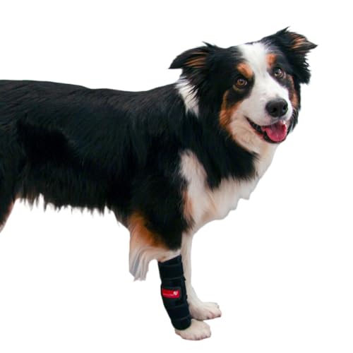 HERZENSTIER Karpalgelenkbandage Neopren niedrig Gr. L für Hunde & Katzen mit Schienen zur Stabilisierung bei Instabilität, Durchtrittigkeit & zur Ruhigstellung bei Arthrose von HERZENSTIER