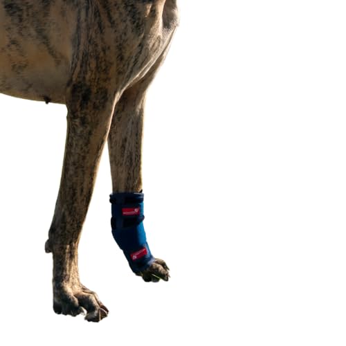 HERZENSTIER Karpalgelenkbandage Schaumstoff niedrig Gr. M für Hunde & Katzen mit Schienen zur Stabilisierung bei Durchtrittigkeit & Hilfe bei akuten Verletzungen am Karpalgelenk von HERZENSTIER