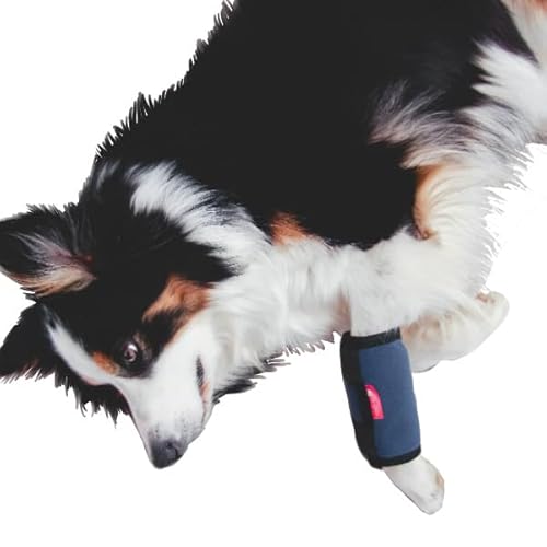 HERZENSTIER Kühl- und Wärmebandage Gr. L für Hunde & Katzen, 2in1 Therapie bei Verletzungen & Arthrose von HERZENSTIER