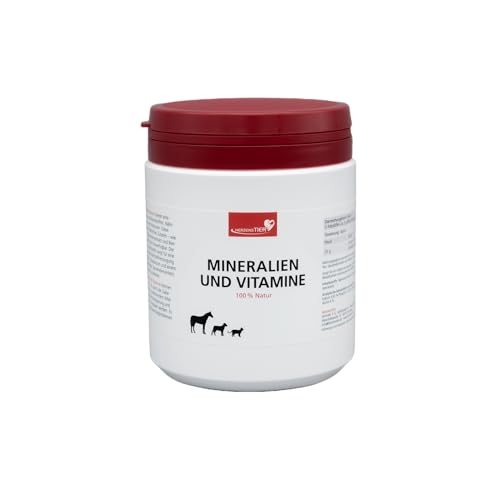 HerzensTier Mineralien und Vitamine 500g für Hunde, Katzen & Pferde für glänzendes Fell, gesunde Knochen & Starkes Immunsystem aus 100% pflanzlichen Zutaten von HERZENSTIER