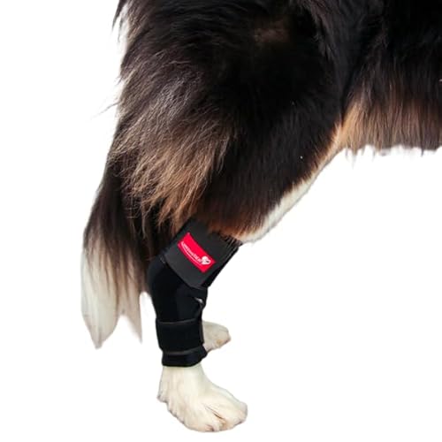 HERZENSTIER Sprunggelenkbandage Neopren Gr. L für Hunde & Katzen mit Schienen zur Stabilisierung des Tarsalgelenks bei Bandinstabilität, Arthrose & nach OP von HERZENSTIER