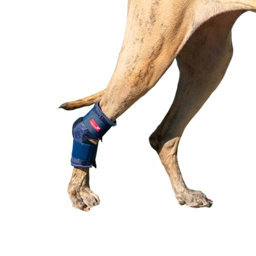 HERZENSTIER Sprunggelenkbandage aus Schaumstoff Gr. L für Hunde & Katzen, atmungsaktiv mit Schienen zur Sprunggelenks-Unterstützung mit bei Arthrose & Instabilität von HERZENSTIER