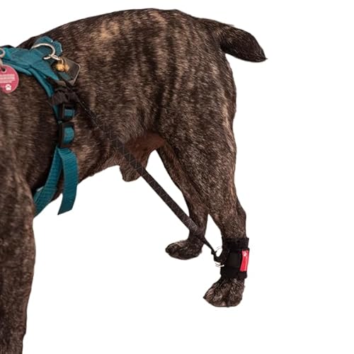 HERZENSTIER Trainingsbandage Gr. M45 von HERZENSTIER