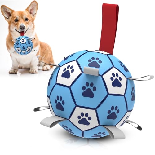 HETOO Hunde-Fußball mit Riemen, interaktives Hundespielzeug zum Tauziehen, Welpengeburtstagsgeschenke, Wasserspielzeug, langlebige Hundebälle für kleine und mittelgroße Rassen, zum Spielen im Freien, HETOO Hunde-Fußball mit Riemen, interaktives Hundespielzeug zum Tauziehen, Welpengeburtstagsgeschenke, Wasserspielzeug, langlebige Hundebälle für kleine und mittelgroße Rassen, zum Spielen im Freien, von HETOO
