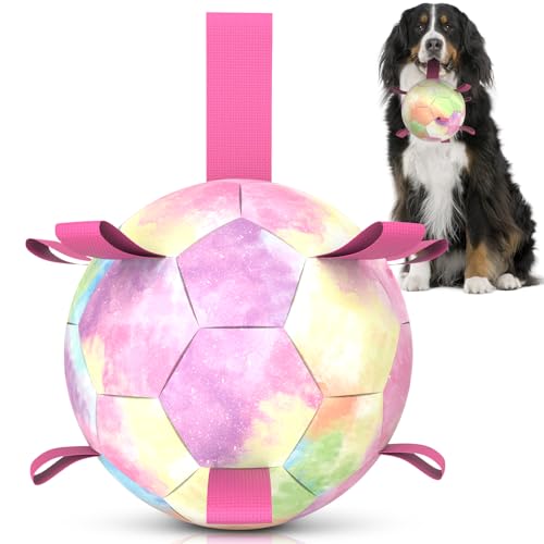 HETOO Hundeball Hundespielzeug Ball mit Griff für Hund Interaktives Schleppen von Krieg Wasser Hundebälle Spielzeug Geburtstagsgeschenk für Große/Riesen Hunde (9 Zoll Rosa Farbverlauf) von HETOO