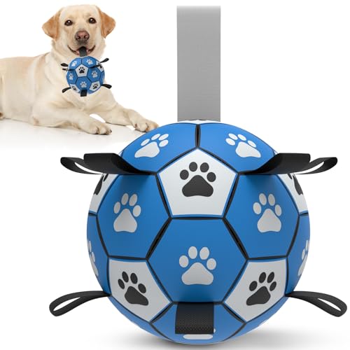 HETOO Hundeball Hundespielzeug Ball mit Griff für Hund Interaktives Schleppen von Krieg Wasser Hundebälle Spielzeug Geburtstagsgeschenk für Mittel/Große Hunde (8 Zoll Blau Grau) von HETOO