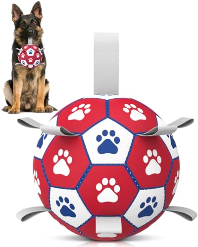 HETOO Hundefußball, interaktives Hundespielzeug für Hunde, langlebige Hundebälle für kleine und mittelgroße Hunde, Rot-Weiß (22,9 cm) von HETOO