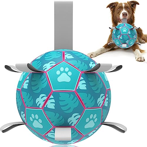 HETOO Hundespielzeug, Fußball, interaktives Hundespielzeug zum Tauziehen, Welpengeburtstagsgeschenke, Hundespielzeug, Wasserspielzeug, langlebige Hundebälle für kleine und mittelgroße Hunde, Seeblau von HETOO