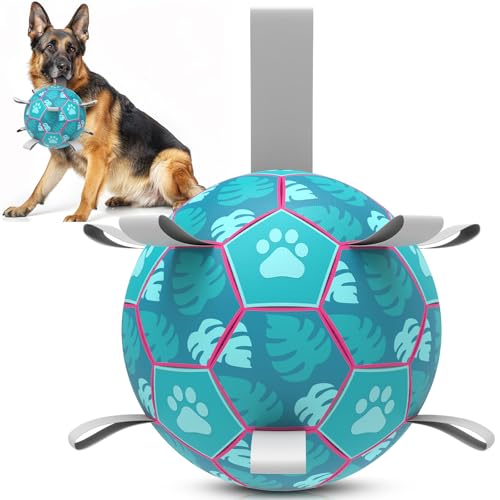 HETOO Hundespielzeug, Fußball, interaktives Hundespielzeug zum Tauziehen, Welpengeburtstagsgeschenke, Hundespielzeug, Wasserspielzeug, langlebige Hundebälle für kleine und mittelgroße Hunde, Seeblau von HETOO