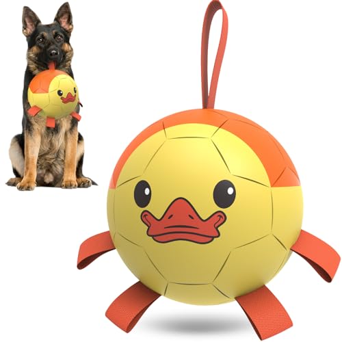 HETOO Hundefußball mit Riemen, interaktives Spielzeug zum Tauziehen, Welpengeburtstagsgeschenke, Hundewasserspielzeug, langlebige Hundebälle für mittelgroße und große (20,3 cm) HETOO Hundefußball mit Riemen, interaktives Spielzeug zum Tauziehen, Welpengeburtstagsgeschenke, Hundewasserspielzeug, langlebige Hundebälle für mittelgroße und große (20,3 cm) von HETOO
