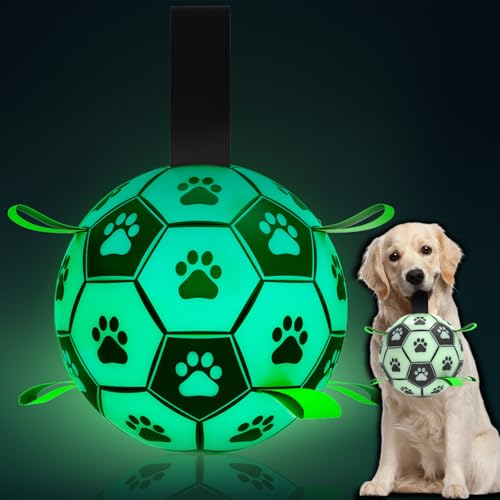 HETOO Hundespielzeug, Hundeball mit Nylon Seil, Premium Hundefußball Spielzeug für Mittlere Große Hunde Indoor & Outdoor Unterhaltung (6 Zoll Glow in Dark) von HETOO