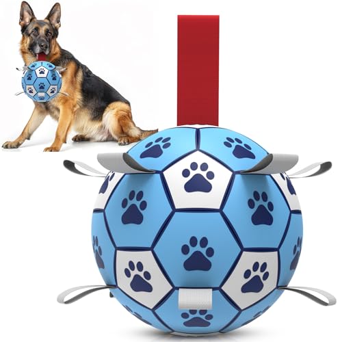 HETOO Hundespielzeug, Hundeball mit Nylon Seil, Premium Hundefußball Spielzeug für Mittlere Große Hunde Indoor & Outdoor Unterhaltung (8 Zoll Blau Weiß) von HETOO