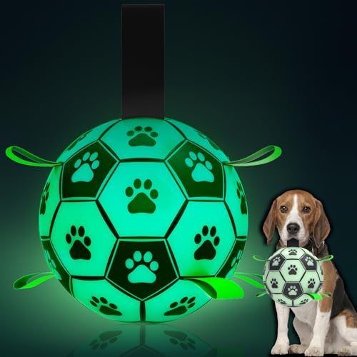 HETOO Hundespielzeug, Hundeball mit Nylon Seil, Premium Hundefußball Spielzeug für Mittlere Große Hunde Indoor & Outdoor Unterhaltung (8 Zoll Glow in Dark) von HETOO