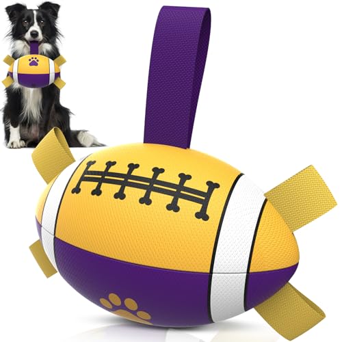 HETOO Hundespielzeug, Hundeball mit Nylon Seil, Premium Rugby Spielzeug für Mittlere Große Hunde Indoor & Outdoor Unterhaltung (Lila Gelb) von HETOO