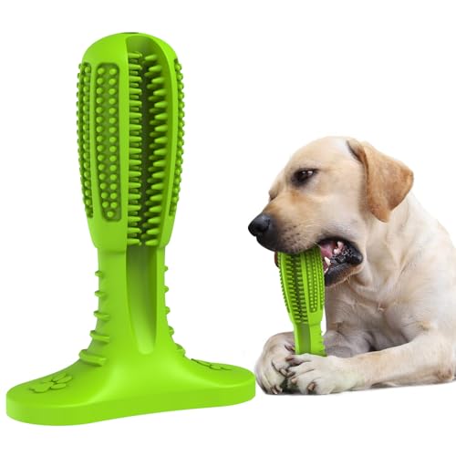 HETOO Hundespielzeug, Kauspielzeug für Hund Welpen, Zähne Reinigung Hunde Spielzeug Für Mittelgroße Hunde, Zähne Schleifstange Gummi Dog Toys (Hell Grün) von HETOO