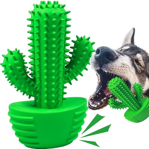 HETOO Hundespielzeug für Aggressives Kauen, Kauspielzeug Hund Fast Unzerstörbar, Quietschend Hunde Spielzeug Für Mittelgroße Hunde, Robuster Langlebig Gummi Dog Toys (Kaktus) von HETOO
