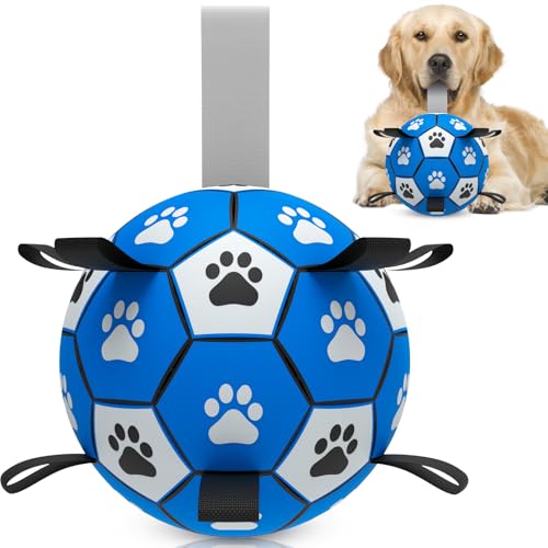 HETOO Interaktives Hunde-Fußballspielzeug mit Haltegriffen, langlebige Hunde-Wasserbälle für kleine, mittelgroße Rassen, drinnen und draußen, Blaugrau (22,9 cm) von HETOO