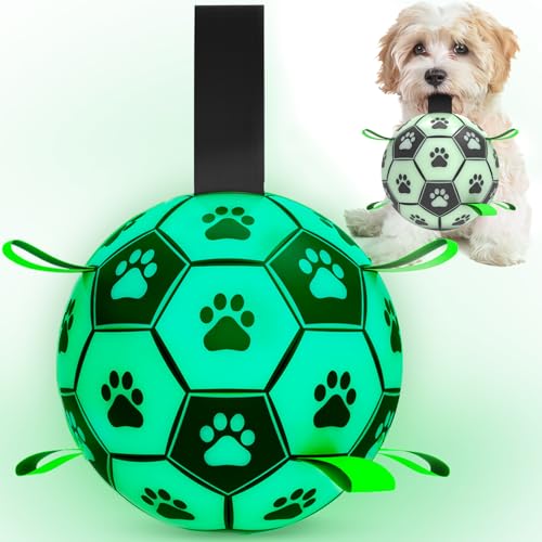 HETOO Leuchtendes Spielzeug, interaktiver beleuchteter Hundeball, Outdoor-Hundeball mit Riemen, Zerrspielzeug für kleine und mittelgroße Hunde, Geburtstagsgeschenke für Welpen, 15,2 cm HETOO Leuchtendes Spielzeug, interaktiver beleuchteter Hundeball, Outdoor-Hundeball mit Riemen, Zerrspielzeug für kleine und mittelgroße Hunde, Geburtstagsgeschenke für Welpen, 15,2 cm von HETOO