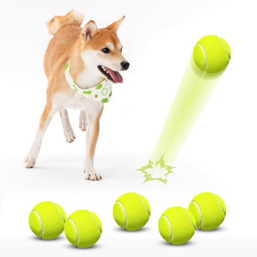HETOO Tennisbälle für Hunde: 6 Stück 6,3 cm Hundebälle, Hundetennisball, Outdoor-Hundespielzeug, Wasserspielzeug, Hundespielzeug, Ball für mittelgroße und große Hunde für Training, Training von HETOO