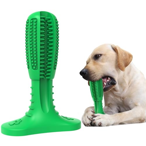 HETOO Kauspielzeug für Hunde, unzerstörbar, robust, langlebig, für aggressive Kauer, Zahnpflege, Zahnreinigung, Geschenke für Hunde (Zähneknirschstab) von HETOO