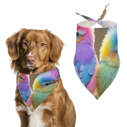 Buntes Halstuch, Motiv: kleine Vögel, für die Fütterung, Fellpflege, dreieckig, waschbar, für Katzen und Hunde Buntes Halstuch, Motiv: kleine Vögel, für die Fütterung, Fellpflege, dreieckig, waschbar, für Katzen und Hunde von HETVBNS