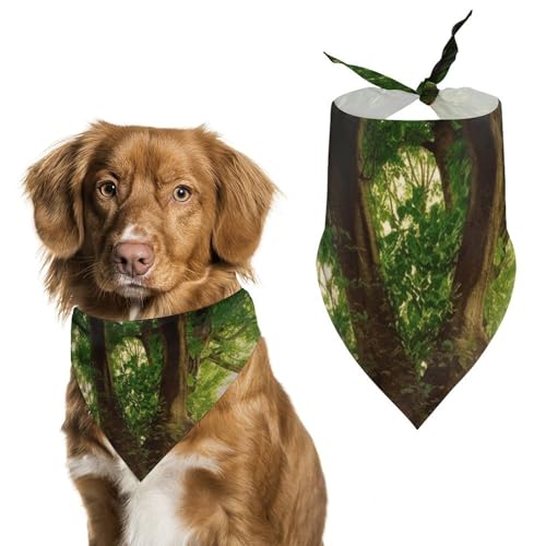 Dicker Baum Hundehalstücher zum Füttern und Pflegen, dreieckige Haustier-Lätzchen, waschbar, Haustier-Schal für Katzen und Hunde Dicker Baum Hundehalstücher zum Füttern und Pflegen, dreieckige Haustier-Lätzchen, waschbar, Haustier-Schal für Katzen und Hunde von HETVBNS