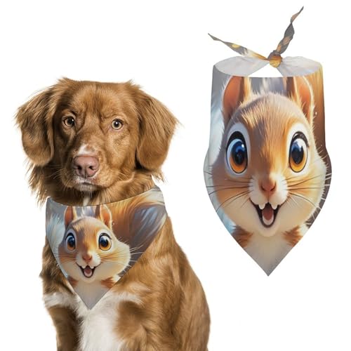 Eichhörnchen-Hundehalstücher zum Füttern und Pflegen, dreieckige Haustier-Lätzchen, waschbar, Haustier-Schal für Katzen und Hunde Eichhörnchen-Hundehalstücher zum Füttern und Pflegen, dreieckige Haustier-Lätzchen, waschbar, Haustier-Schal für Katzen und Hunde von HETVBNS