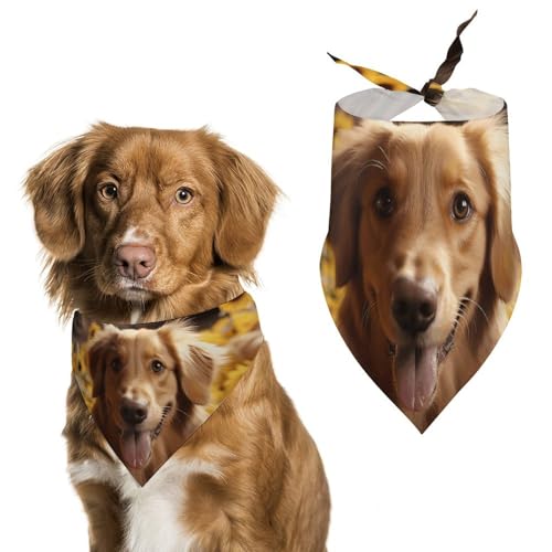 Golden Retriever Sonnenblumen-Hundehalstücher zum Füttern und Pflegen, dreieckiges Haustier-Lätzchen, waschbar, Haustier-Schal für Katzen und Hunde Golden Retriever Sonnenblumen-Hundehalstücher zum Füttern und Pflegen, dreieckiges Haustier-Lätzchen, waschbar, Haustier-Schal für Katzen und Hunde von HETVBNS