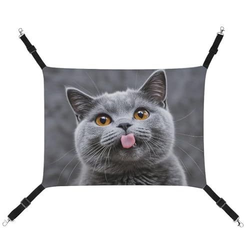 HETVBNS Blaue Katzen-Hängematte für Katzen und Hunde, weiche atmungsaktive Canvas-Hängematte mit verstellbaren Riemen, bequemes und langlebiges Hängebett für kleine bis mittelgroße Haustiere HETVBNS Blaue Katzen-Hängematte für Katzen und Hunde, weiche atmungsaktive Canvas-Hängematte mit verstellbaren Riemen, bequemes und langlebiges Hängebett für kleine bis mittelgroße Haustiere von HETVBNS
