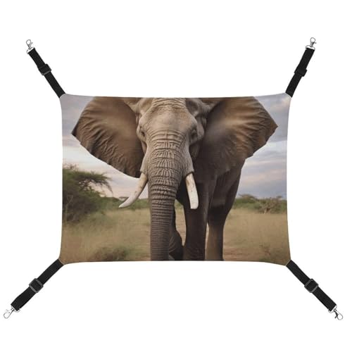 HETVBNS Elefant Haustierhängematte für Katzen & Hunde, weiche atmungsaktive Canvas-Hängematte mit verstellbaren Riemen, bequemes und langlebiges Hängebett für kleine bis mittelgroße Haustiere HETVBNS Elefant Haustierhängematte für Katzen & Hunde, weiche atmungsaktive Canvas-Hängematte mit verstellbaren Riemen, bequemes und langlebiges Hängebett für kleine bis mittelgroße Haustiere von HETVBNS