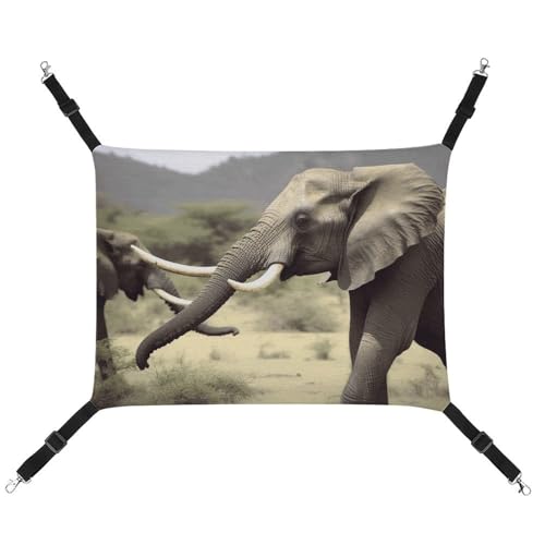 HETVBNS Elefanten-Tier-Haustier-Hängematte für Katzen und Hunde, weiche atmungsaktive Canvas-Hängematte mit verstellbaren Riemen, bequemes und langlebiges Hängebett für kleine bis mittelgroße HETVBNS Elefanten-Tier-Haustier-Hängematte für Katzen und Hunde, weiche atmungsaktive Canvas-Hängematte mit verstellbaren Riemen, bequemes und langlebiges Hängebett für kleine bis mittelgroße von HETVBNS