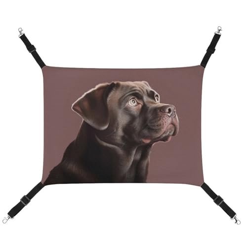 HETVBNS Hunde-Hängematte für Katzen und Hunde, weiche atmungsaktive Canvas-Hängematte mit verstellbaren Riemen, bequemes und langlebiges Hängebett für kleine bis mittelgroße Haustiere HETVBNS Hunde-Hängematte für Katzen und Hunde, weiche atmungsaktive Canvas-Hängematte mit verstellbaren Riemen, bequemes und langlebiges Hängebett für kleine bis mittelgroße Haustiere von HETVBNS